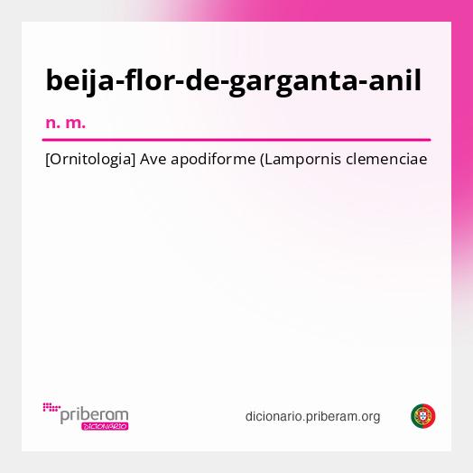 Significado de beija-flor-de-garganta-anil